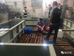 佛山三級環(huán)保加公安部門聯(lián)合執(zhí)法查處南海2家污企，七人被帶走調(diào)查