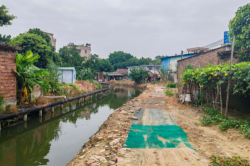 東莞高埗：清除障礙，提高河道整體防洪能力